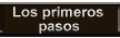 Los primeros pasos